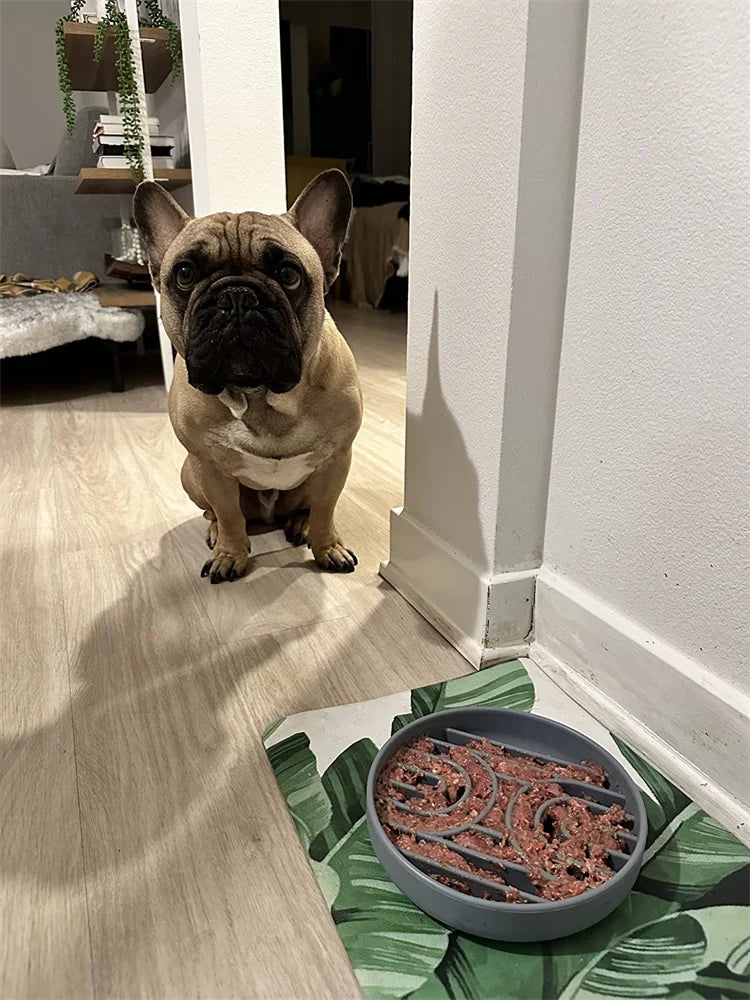 Pet supplies Slow Food  Bowl