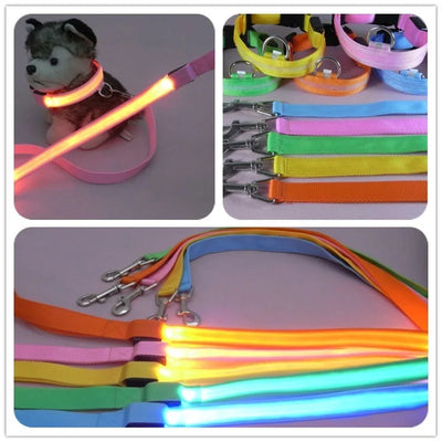 LED Light Up Dog Leash