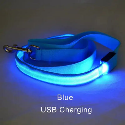 LED Light Up Dog Leash