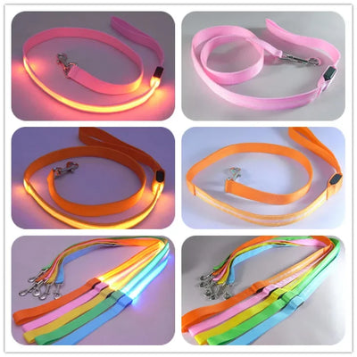 LED Light Up Dog Leash