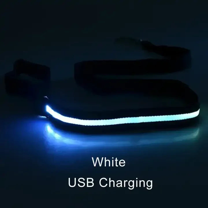 LED Light Up Dog Leash