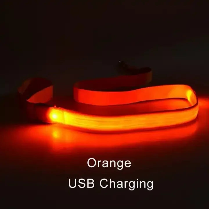 LED Light Up Dog Leash