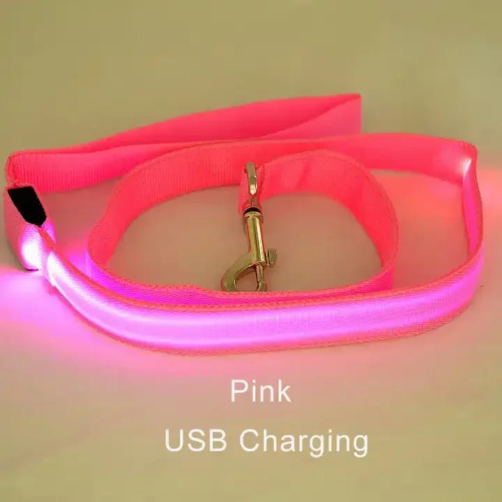 LED Light Up Dog Leash