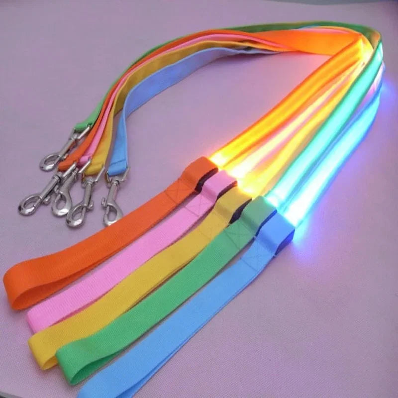 LED Light Up Dog Leash