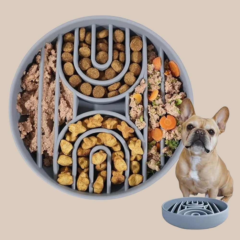 Pet supplies Slow Food  Bowl